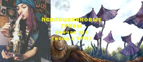 стафф Белокуриха