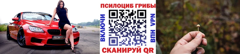 Псилоцибиновые грибы мухоморы  купить  сайты  Кондопога 